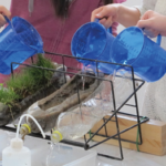 Experiment: Measuring water storage capacity