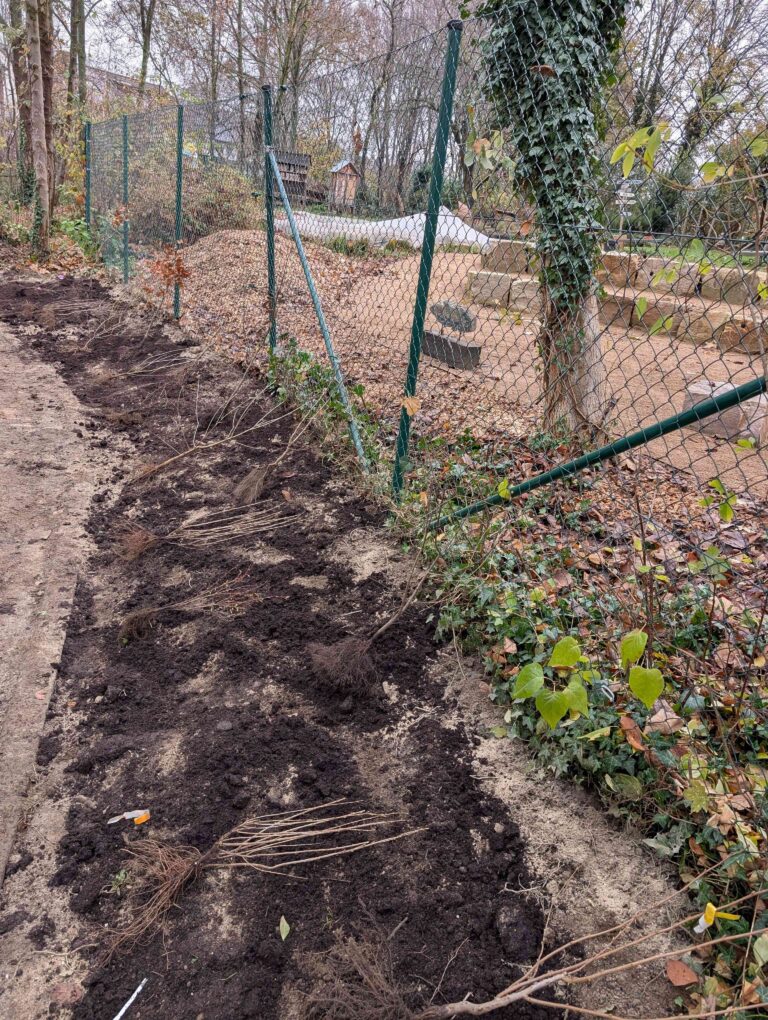 1000023881 compressed 768x1020