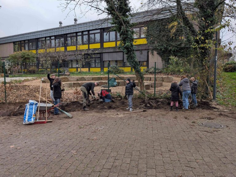 1000023887 compressed 768x578