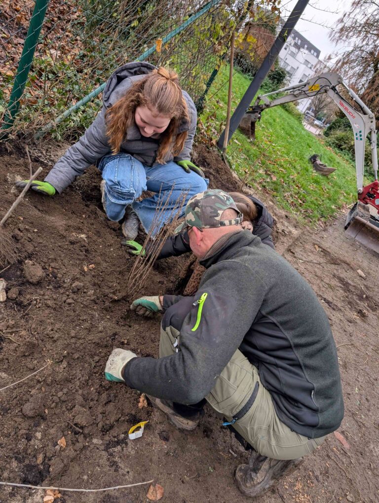 1000023895 compressed 768x1020