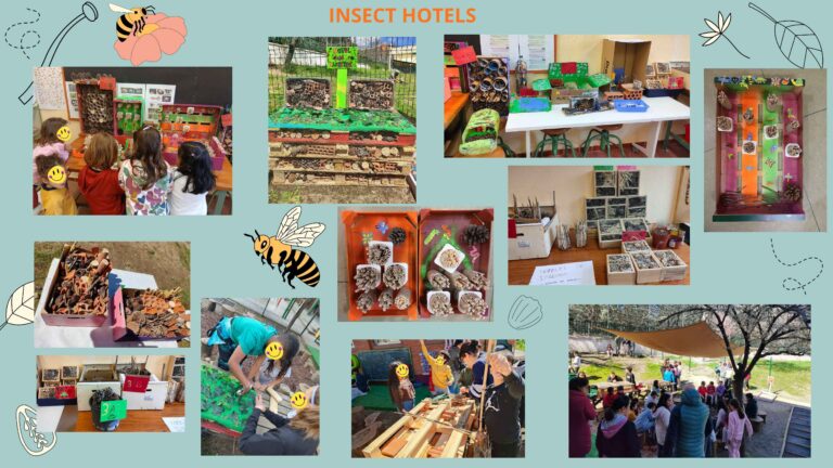 Hotel de insectos 4 compressed imagenes 0 1 1 1 768x432