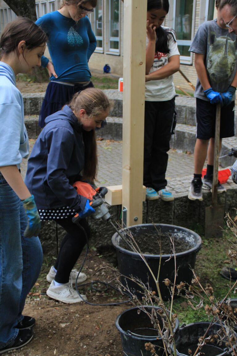 Pergola Bild3 768x1152