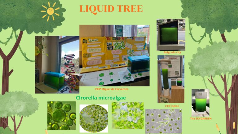 liquid tree compressed imagenes 0 768x432