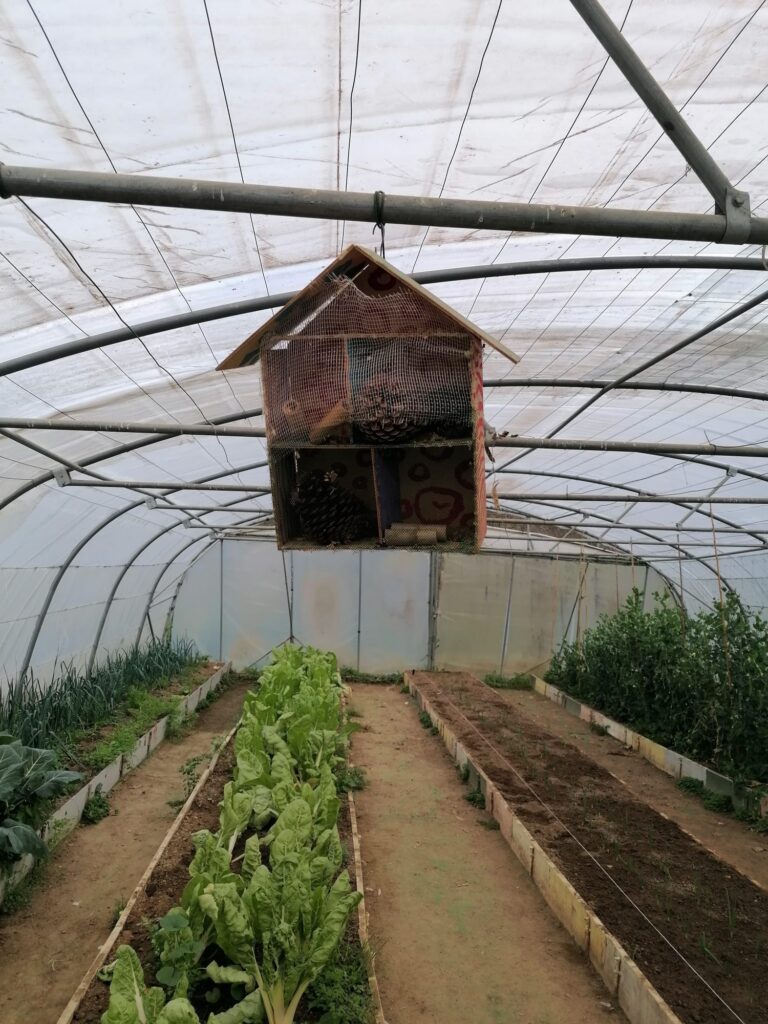 picture 4 1 768x1024