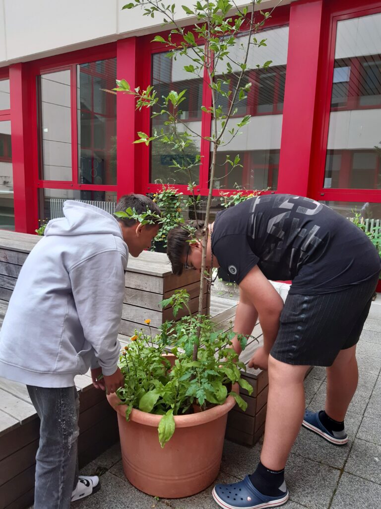 20220609 104739 768x1024