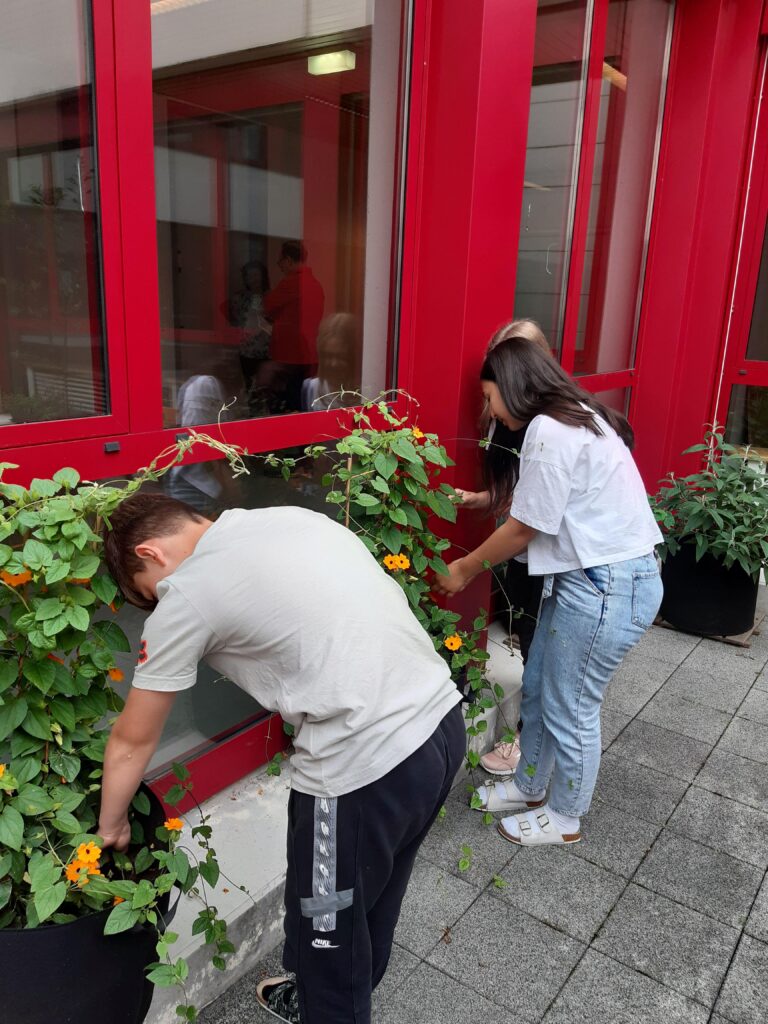 20220609 105925 768x1024