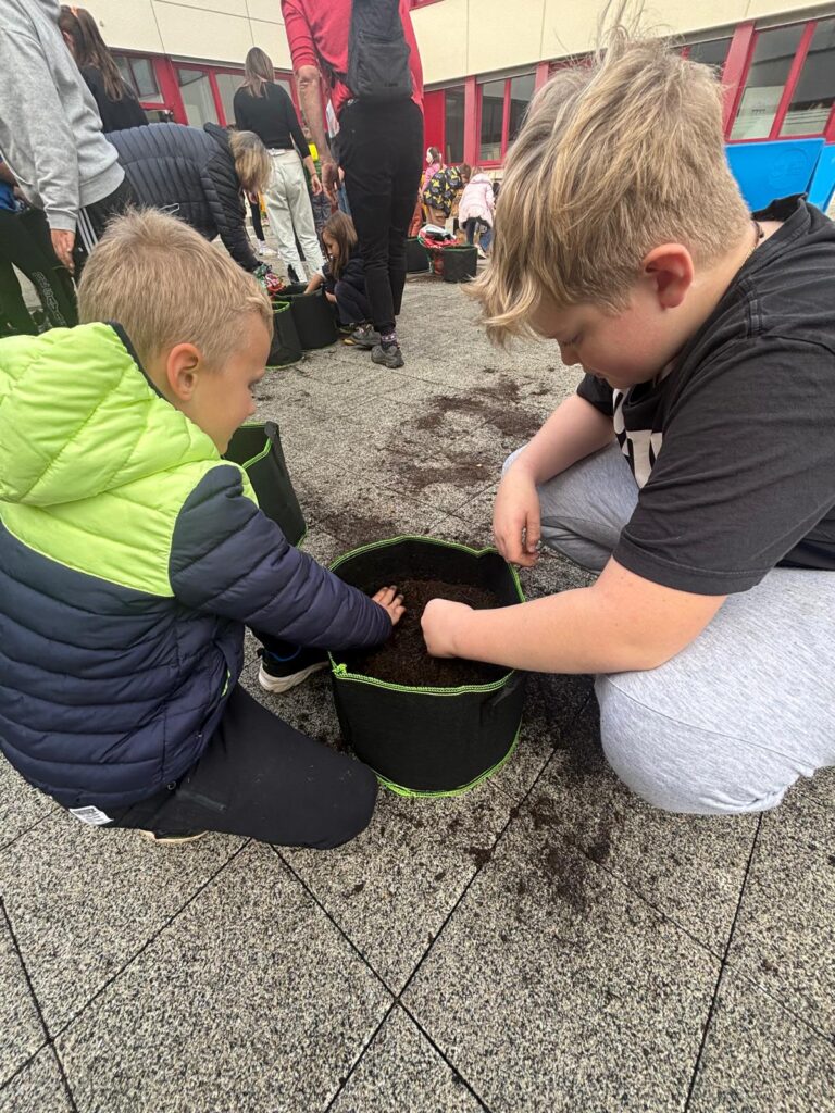 IMG 20251022 WA0019 768x1024