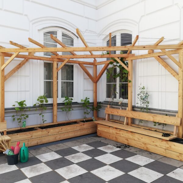 Pergola für das BRG Marchettigasse