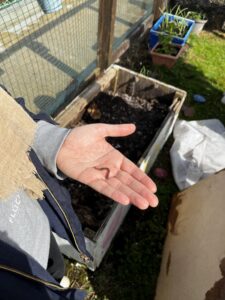 Creating a Wormery