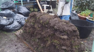Learning Activity: Grass sod pile composting