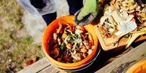 Learning Activity: Bokashi treatment of food waste