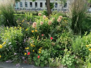 Pflanzen und ihre positiven Eigenschaften
