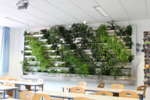 Vertikale Begr&uuml;nung