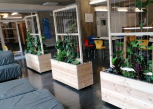 Indoor greening