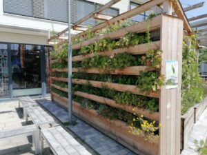 Bauanleitung: EVAPO+ Gr&uuml;nwand